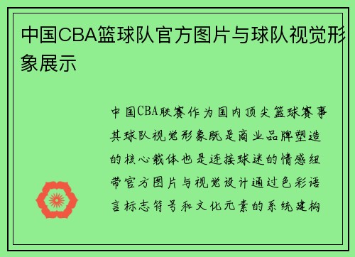 中国CBA篮球队官方图片与球队视觉形象展示